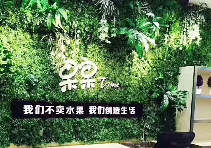 仿真背景墻 綠植背景定制 長(zhǎng)沙公司形象墻  背景墻設(shè)計(jì)